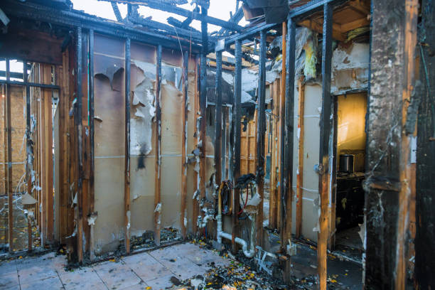 Professional Structural Rebuild technician working in Cypress, TX